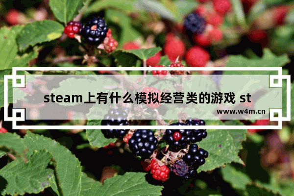 steam上有什么模拟经营类的游戏 steam免费游戏推荐模拟经营单机游戏