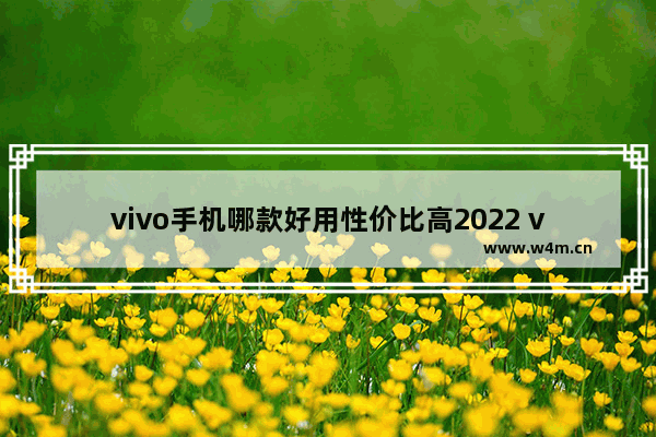 vivo手机哪款好用性价比高2022 vivo最近实用手机推荐