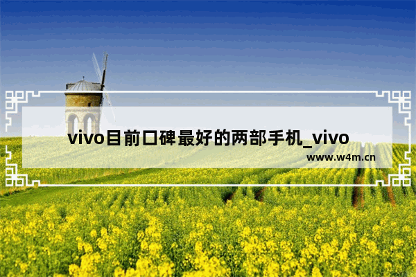 vivo目前口碑最好的两部手机_vivo手机排行榜