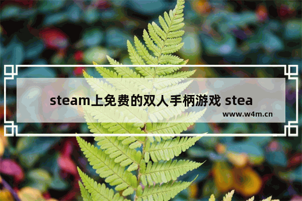 steam上免费的双人手柄游戏 steam免费游戏推荐单机战略游戏