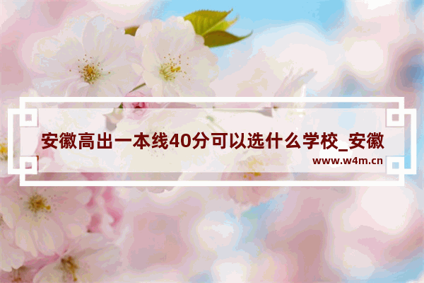 安徽高出一本线40分可以选什么学校_安徽超一本线80分能上什么大学