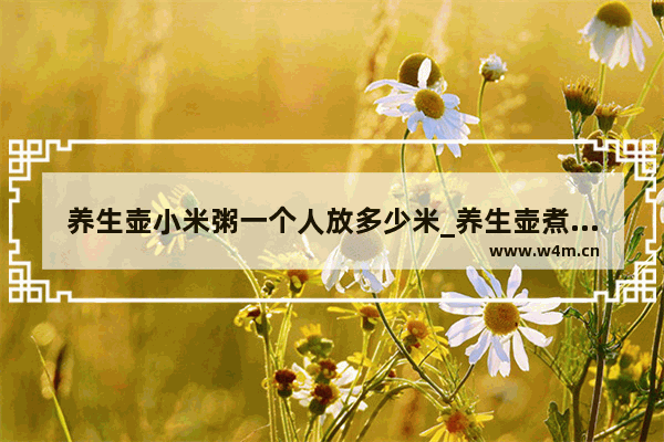 养生壶小米粥一个人放多少米_养生壶煮粥用哪种模式好