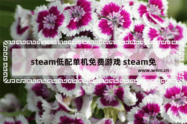 steam低配单机免费游戏 steam免费游戏推荐单机全部游戏