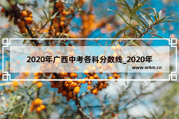 2020年广西中考各科分数线_2020年广西一本线