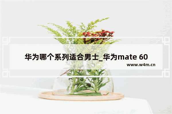 华为哪个系列适合男士_华为mate 60 pro哪个更适合男性