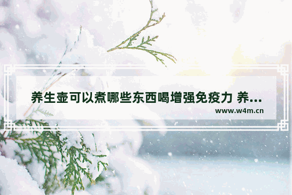 养生壶可以煮哪些东西喝增强免疫力 养生壶可以煮什么水果