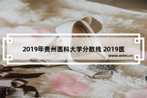 2019年贵州医科大学分数线 2019医科大高考分数线