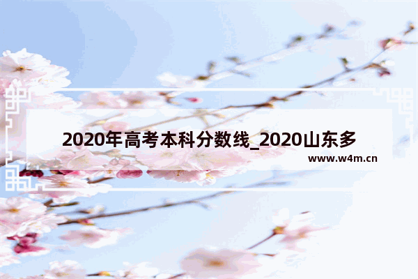 2020年高考本科分数线_2020山东多少分一本