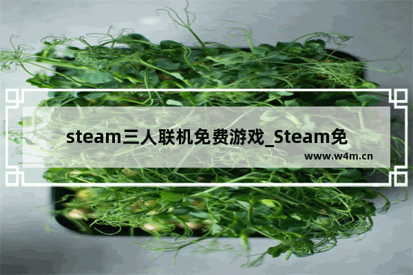 steam三人联机免费游戏_Steam免费双人游戏