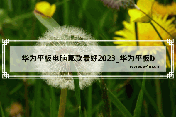 华为平板电脑哪款最好2023_华为平板btk-w00是什么型号的