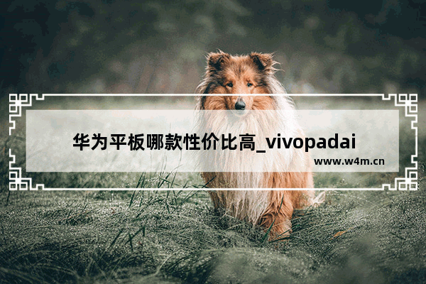 华为平板哪款性价比高_vivopadair和华为matepad2023哪个更合适