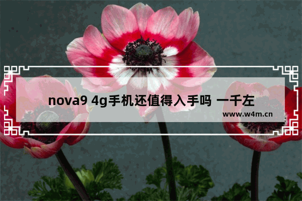 nova9 4g手机还值得入手吗 一千左右手机推荐4g