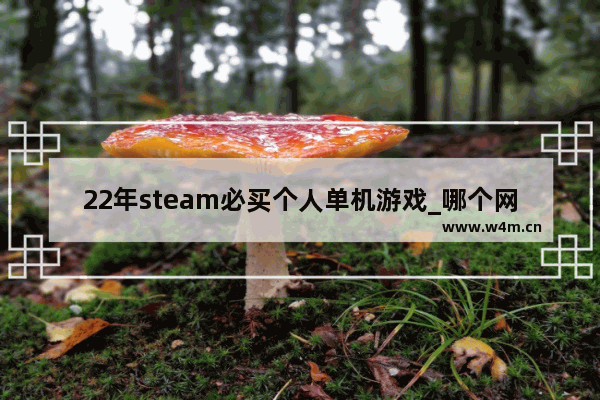 22年steam必买个人单机游戏_哪个网站有免费的单机游戏