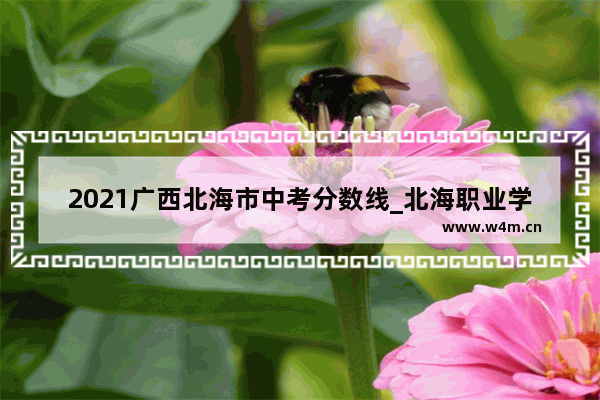 2021广西北海市中考分数线_北海职业学院2021对口分数线