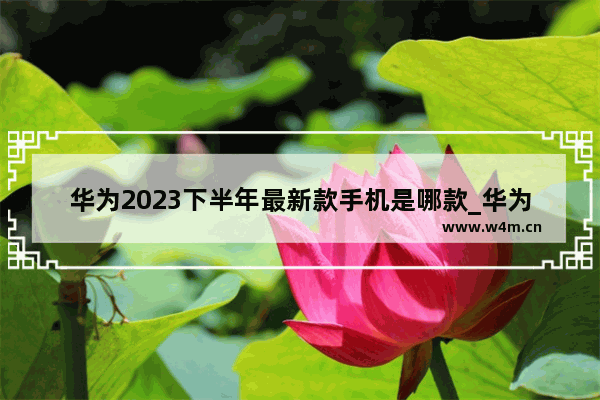 华为2023下半年最新款手机是哪款_华为手机新机特权有哪些