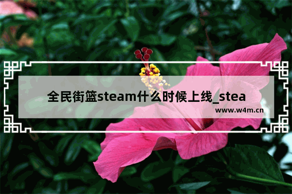 全民街篮steam什么时候上线_steamdeck能玩什么游戏