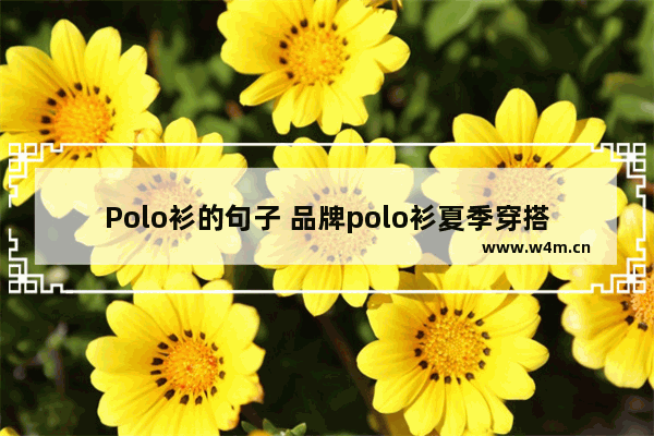 Polo衫的句子 品牌polo衫夏季穿搭讲解