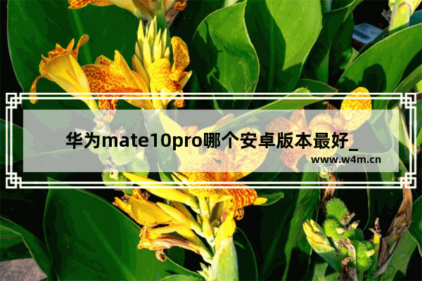 华为mate10pro哪个安卓版本最好_荣耀30s是鸿蒙系统还是安卓系统