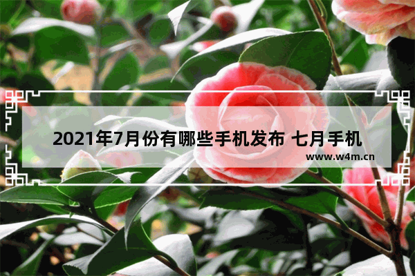 2021年7月份有哪些手机发布 七月手机推荐旗舰机