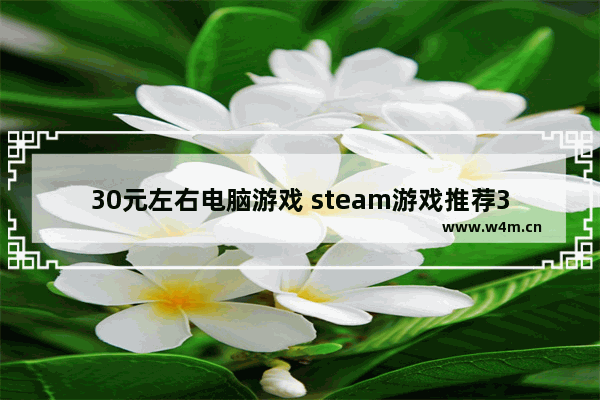 30元左右电脑游戏 steam游戏推荐30元以下