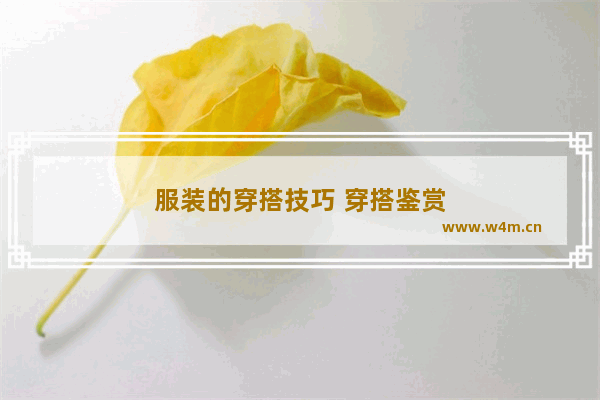 服装的穿搭技巧 穿搭鉴赏