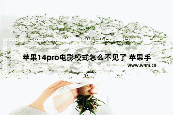 苹果14pro电影模式怎么不见了 苹果手机能看到最新电影