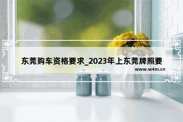 东莞购车资格要求_2023年上东莞牌照要什么条件