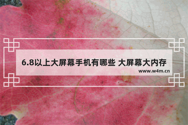 6.8以上大屏幕手机有哪些 大屏幕大内存手机推荐性价比高