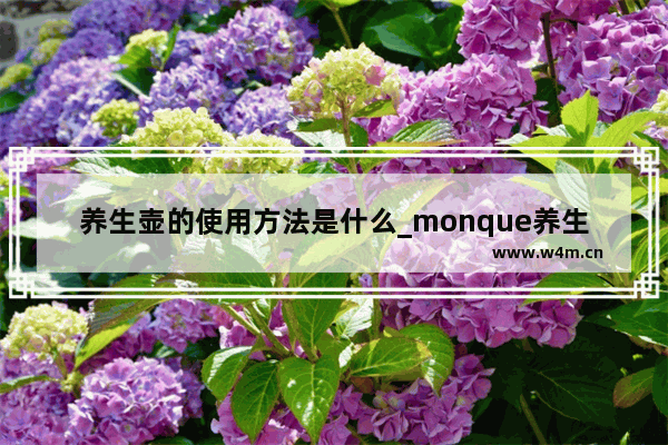 养生壶的使用方法是什么_monque养生壶怎么使用