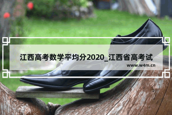 江西高考数学平均分2020_江西省高考试卷与哪些省一样