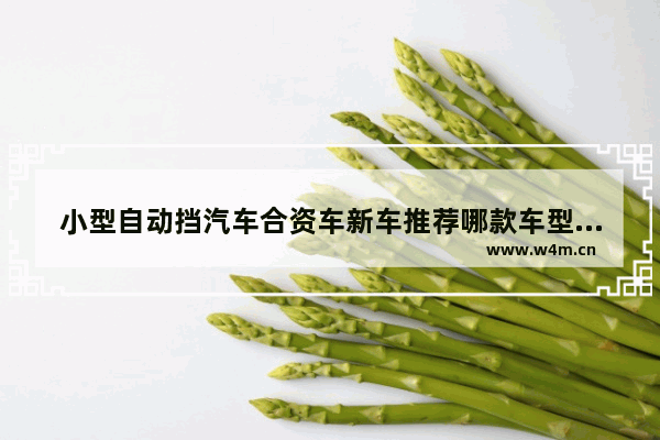 小型自动挡汽车合资车新车推荐哪款车型 小型自动挡汽车合资车新车推荐哪款车型