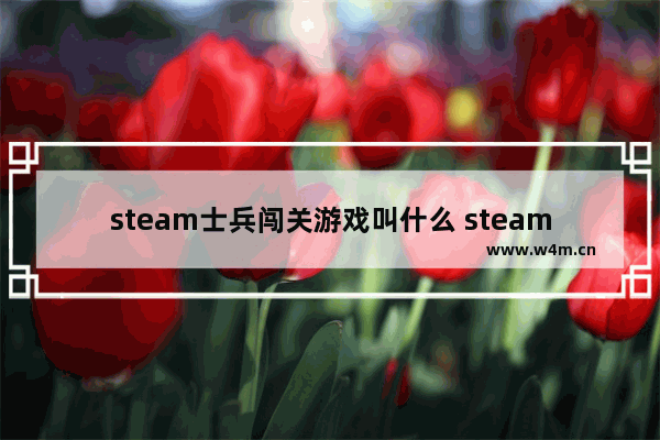 steam士兵闯关游戏叫什么 steam闯关休闲游戏推荐