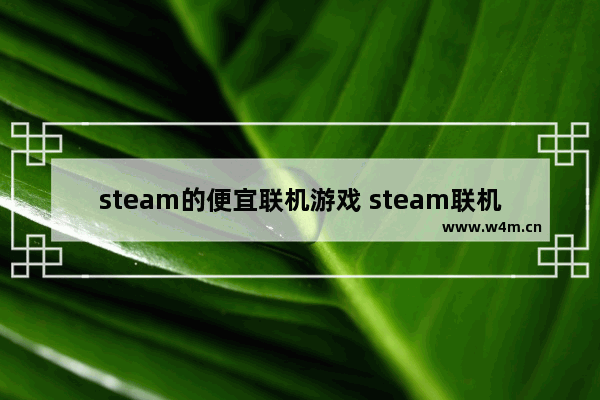 steam的便宜联机游戏 steam联机便宜的游戏推荐