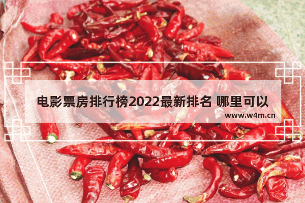 电影票房排行榜2022最新排名 哪里可以看最新电影排行榜