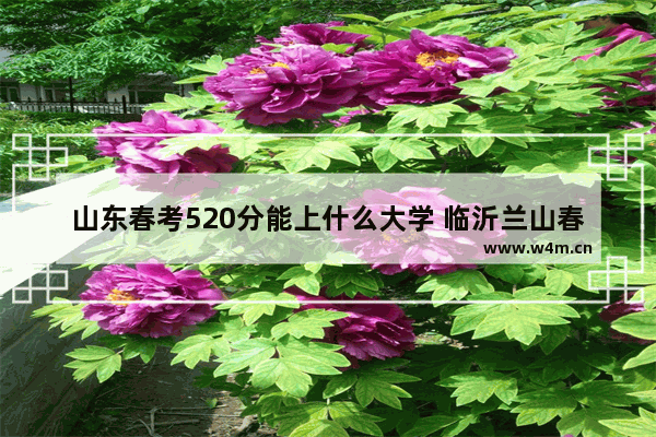 山东春考520分能上什么大学 临沂兰山春季高考分数线