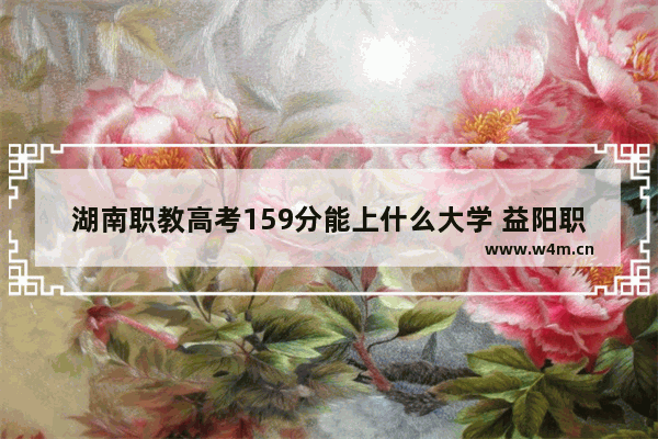 湖南职教高考159分能上什么大学 益阳职业学院高考分数线