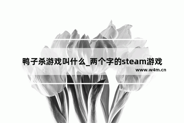 鸭子杀游戏叫什么_两个字的steam游戏