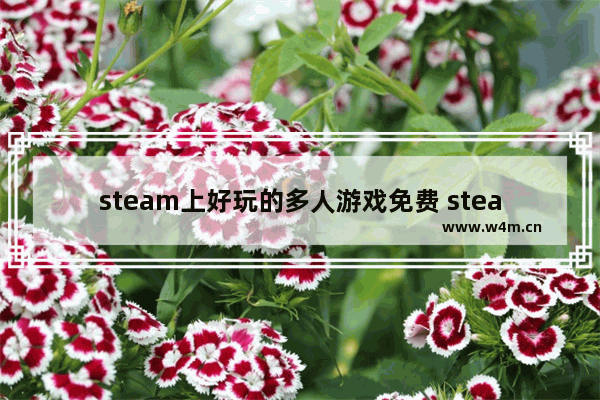 steam上好玩的多人游戏免费 steam免费多人小游戏推荐