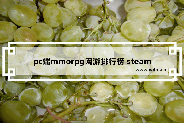 pc端mmorpg网游排行榜 steam上mmorpg游戏推荐