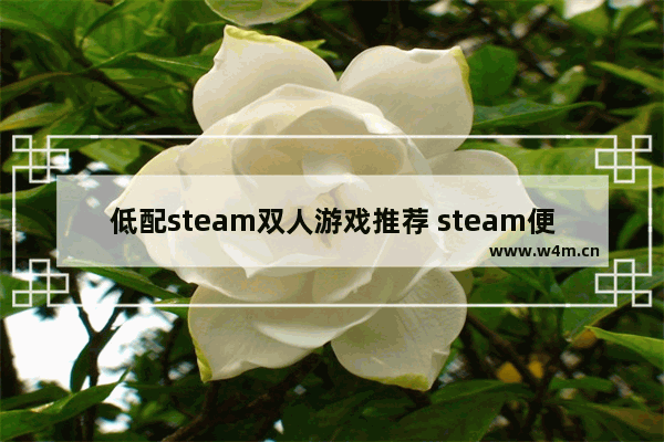 低配steam双人游戏推荐 steam便宜多人游戏推荐不吃配置