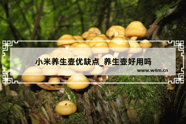 小米养生壶优缺点_养生壶好用吗