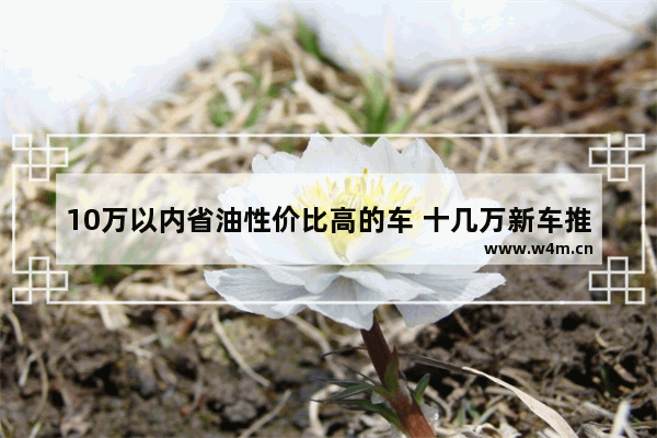 10万以内省油性价比高的车 十几万新车推荐哪款车好开省油又实惠