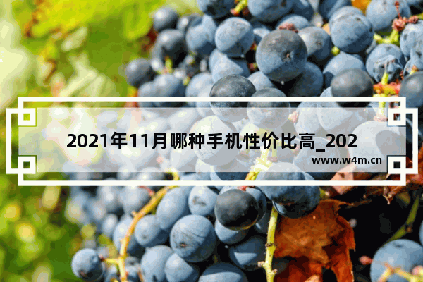 2021年11月哪种手机性价比高_2022年千元手机值得入手的排行榜