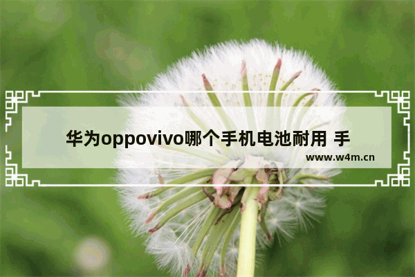 华为oppovivo哪个手机电池耐用 手机推荐哪个牌子好用一点耐用