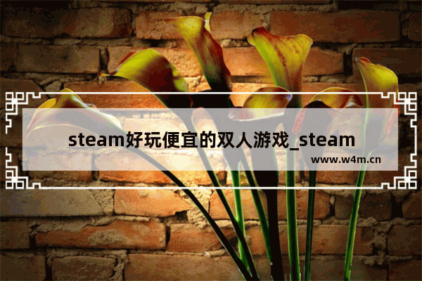 steam好玩便宜的双人游戏_steam福尔摩斯哪一款好玩