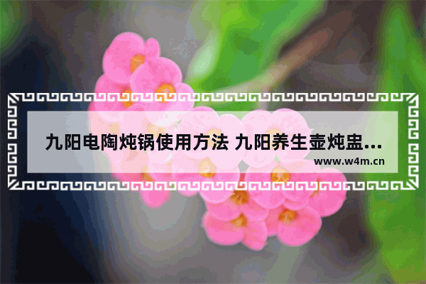 九阳电陶炖锅使用方法 九阳养生壶炖盅用法