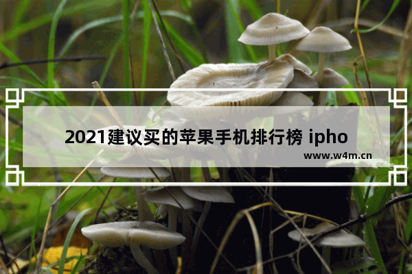 2021建议买的苹果手机排行榜 iphone系列手机推荐