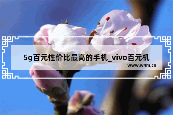 5g百元性价比最高的手机_vivo百元机性价比排行