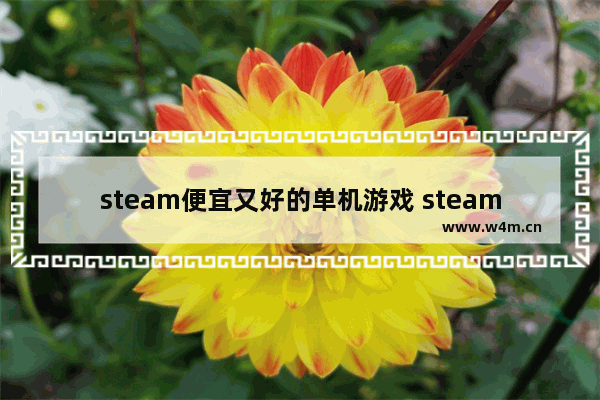 steam便宜又好的单机游戏 steam游戏推荐单机单人小游戏