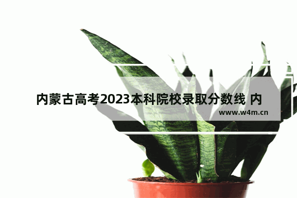 内蒙古高考2023本科院校录取分数线 内蒙古高考分数线日期